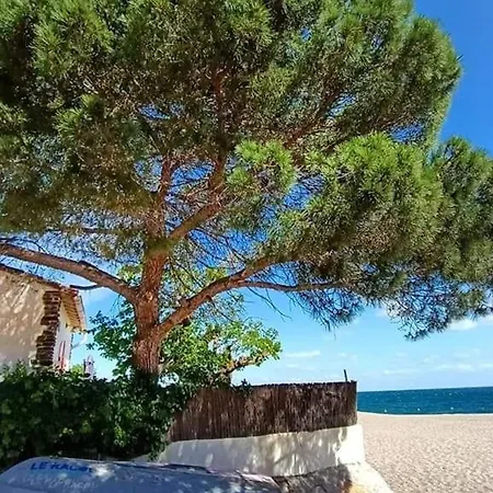 De Plain Pied Rénovée à 150m De La Plage, Climatisée Et Avec Wifi - Fr-1-776-3