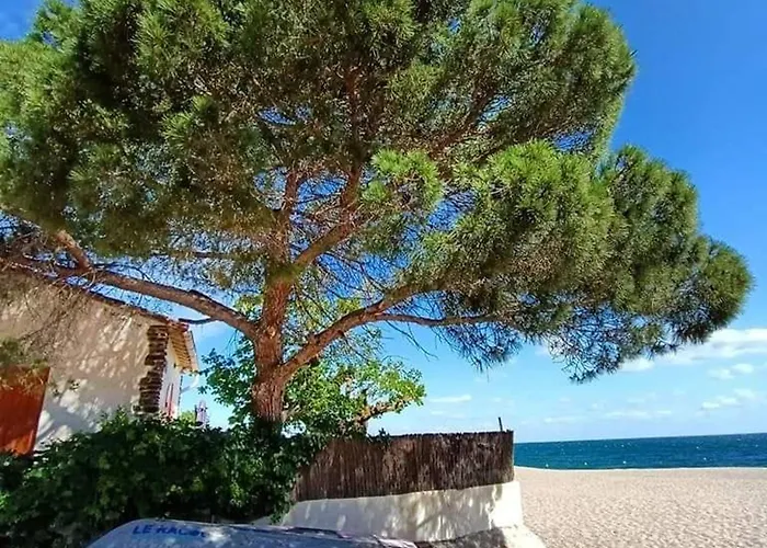 Renovee A 150m De La Avec Climatisation - Fr-1-776-3